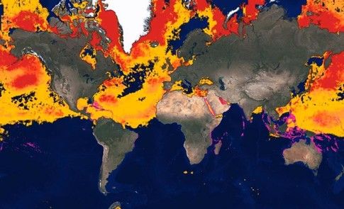 wef's tweet photo. This online tool shows how our #planet is changing https://t.co/GwiSOGbJPg #environment https://t.co/jgVldFBbGD