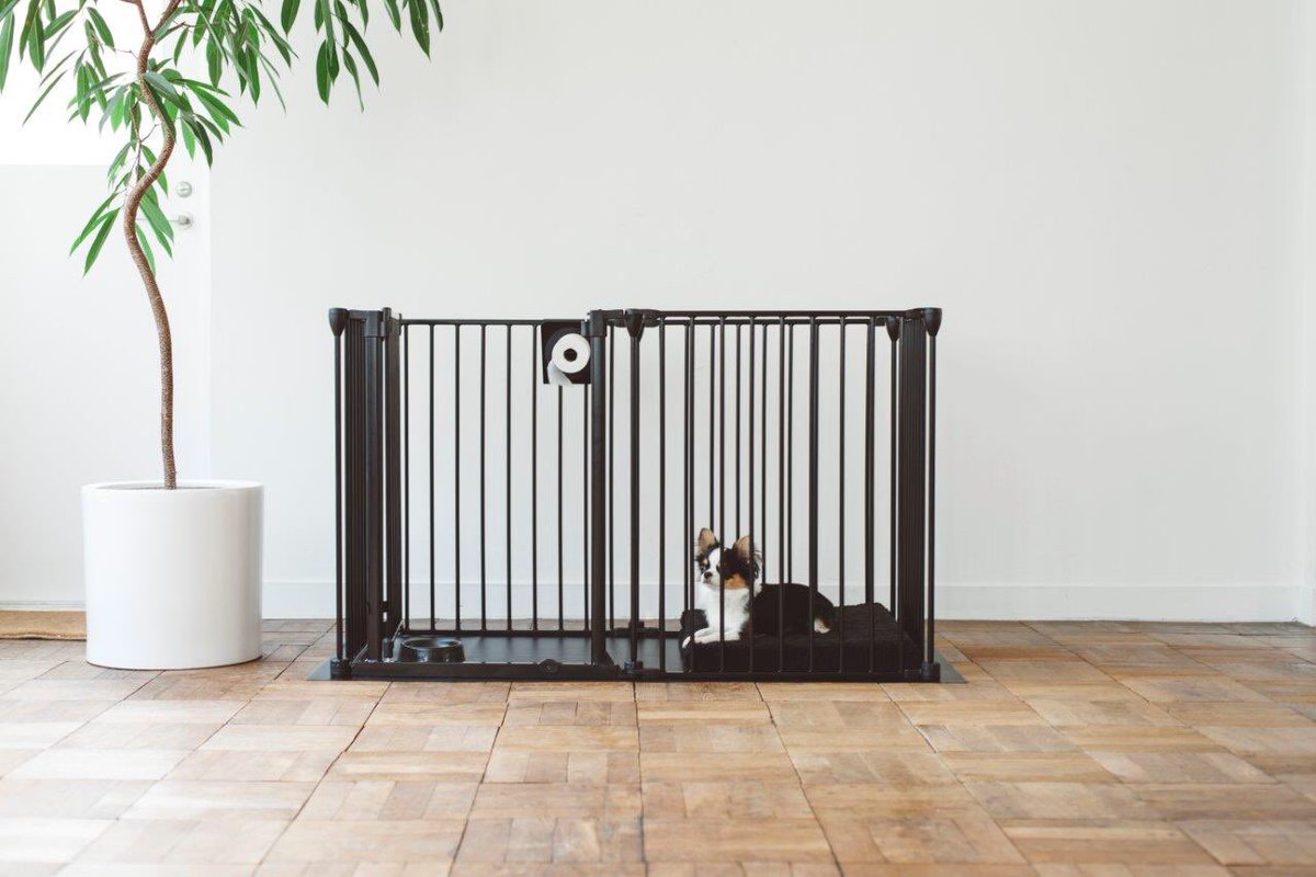 ট ইট র 大塚家具 Idc Otsuka ペットと暮らす快適インテリア 共に暮らす 犬や猫は大事な 家族の一員 安全にはしっかり配慮して リラックスできる場所もつくってあげたい 大塚家具では 大切なペットとの暮らしがもっと楽しくなるに 家具 インテリアを