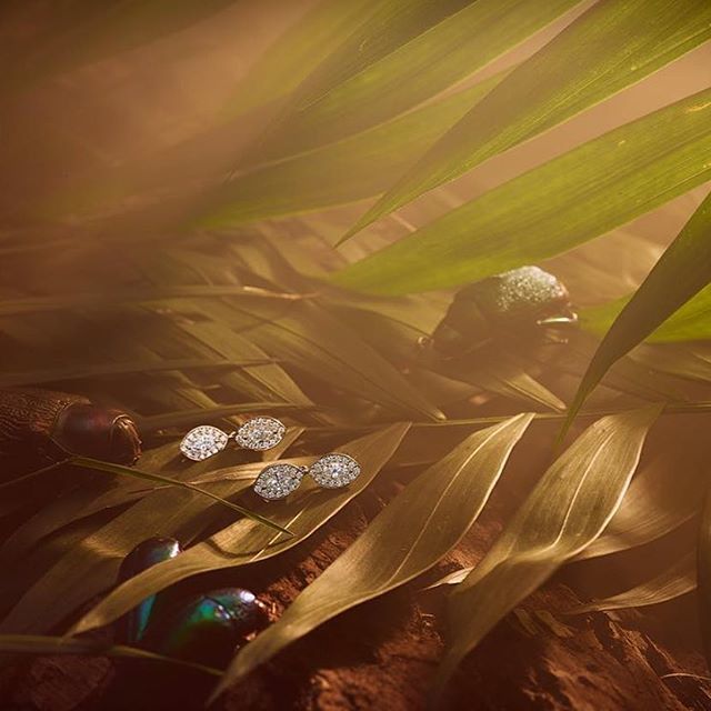#marquise shape #diamonds #paradise #colllection #earrings by @studio_chloki ift.tt/2Gc9cuj