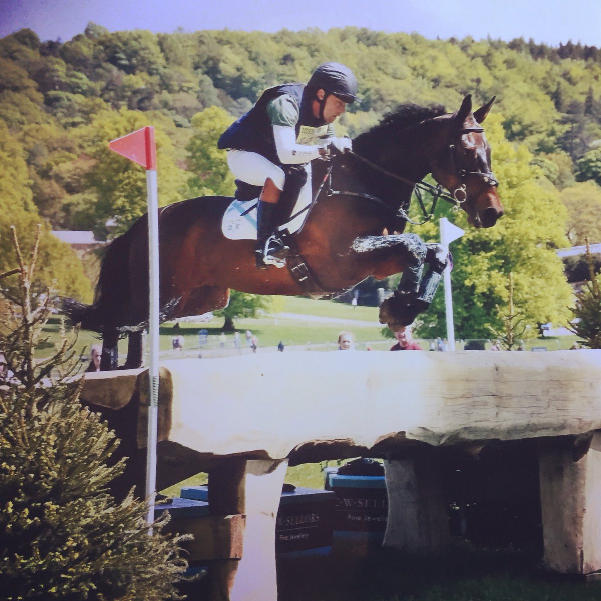 SimonjGrieve's tweet image. Douglas flying round Chatsworth CIC3* for 10th place! What a gorgeous boy! @nobleoutfitters @beddownbedding