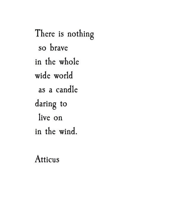 ToniLGardner's tweet photo. Indeed. #bethecandle https://t.co/6ihLraWBOs