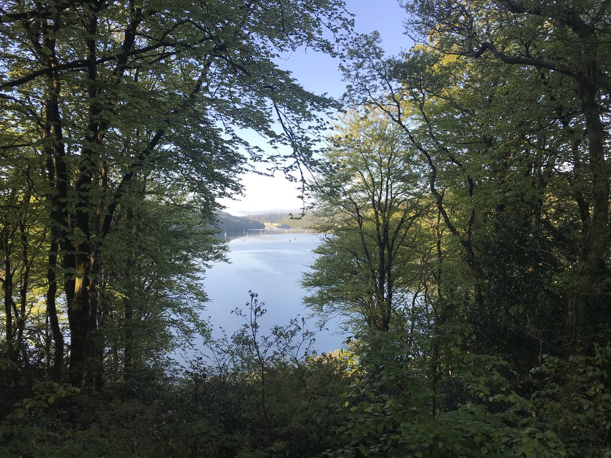 GuardianRIB's tweet photo. Another beautiful morning on the Rivers @FoweyHarbour @FoweyDocks #Lerryn https://t.co/y6HZZVaCHL