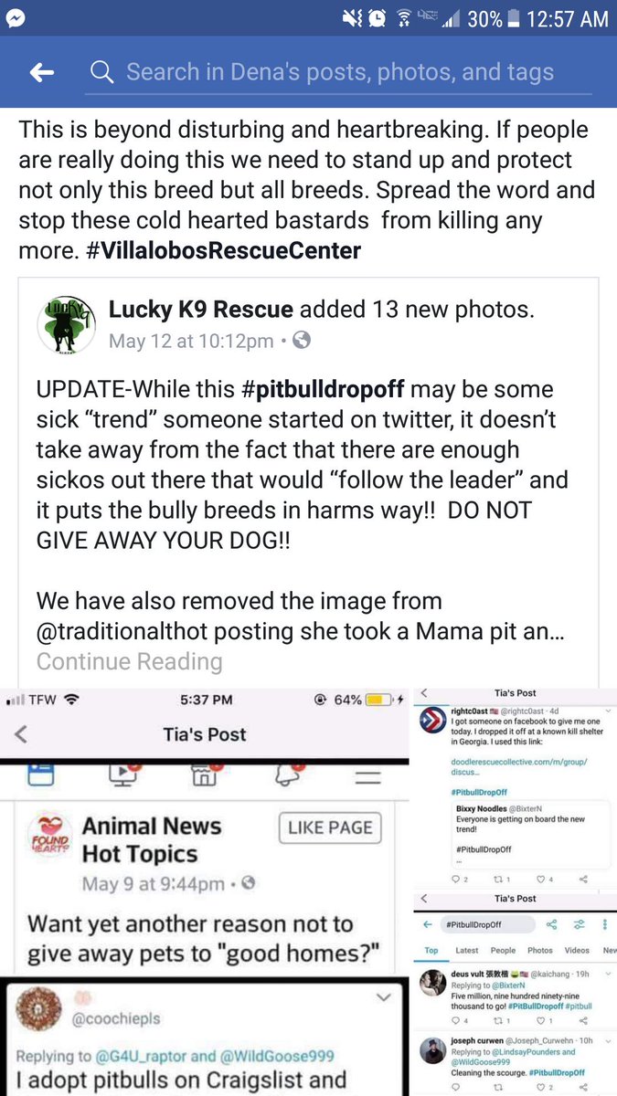 forgivenangle76's tweet image. #VillalobosRescueCenter