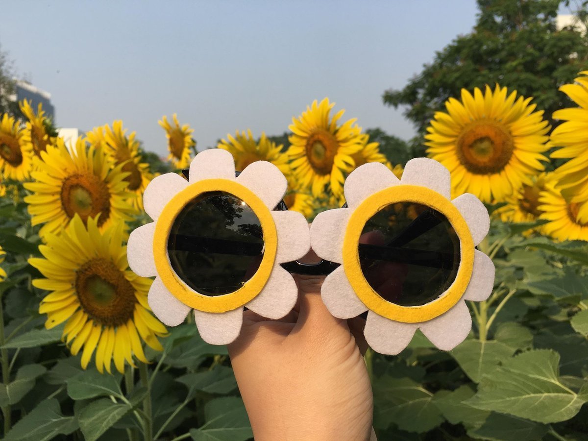 nanofoxy's tweet photo. 🌻แว่นตาดอกไม้ Made to order♥
🎄 200.-
📪 30/50
#FDAMarket #ตลาดแฟนอาร์ต #ตลาดนัดWANNAONE #ตลาดนัดซอนโฮ #ตลาดนัดPRODUCE101 #ตุ๊กตาwannaone #ตุ๊กตาบังทัน #ตุ๊กตาexo #WannaOneWorldTourinKL #wannaone_market #Wannaone1stCONCERTINBKK https://t.co/stLesgrkTJ