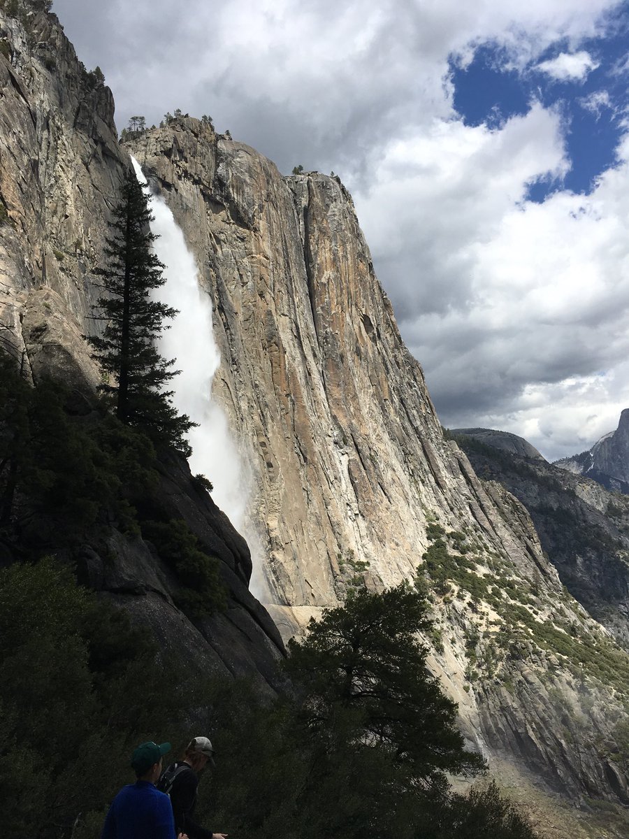 jody_olson's tweet photo. Too beautiful to not tweet #sayyes #explore #adventure #travel #nature #yosemite #OptOutside #California https://t.co/J1b1VrK25J