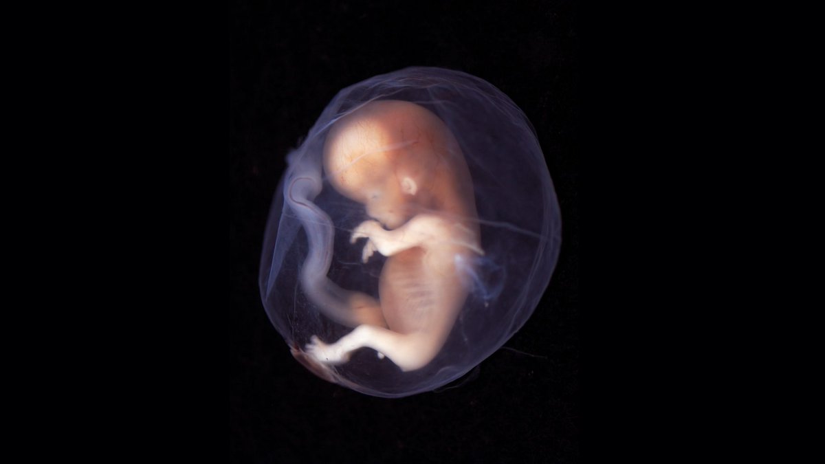 OpMedSkl's tweet photo. Don't forget to always take your time to thank your beautiful mothers.👶 https://t.co/SixAZ2CFiJ