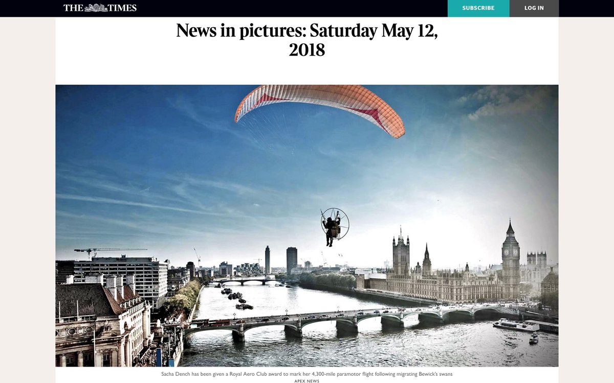 Sacha Dench tweet media