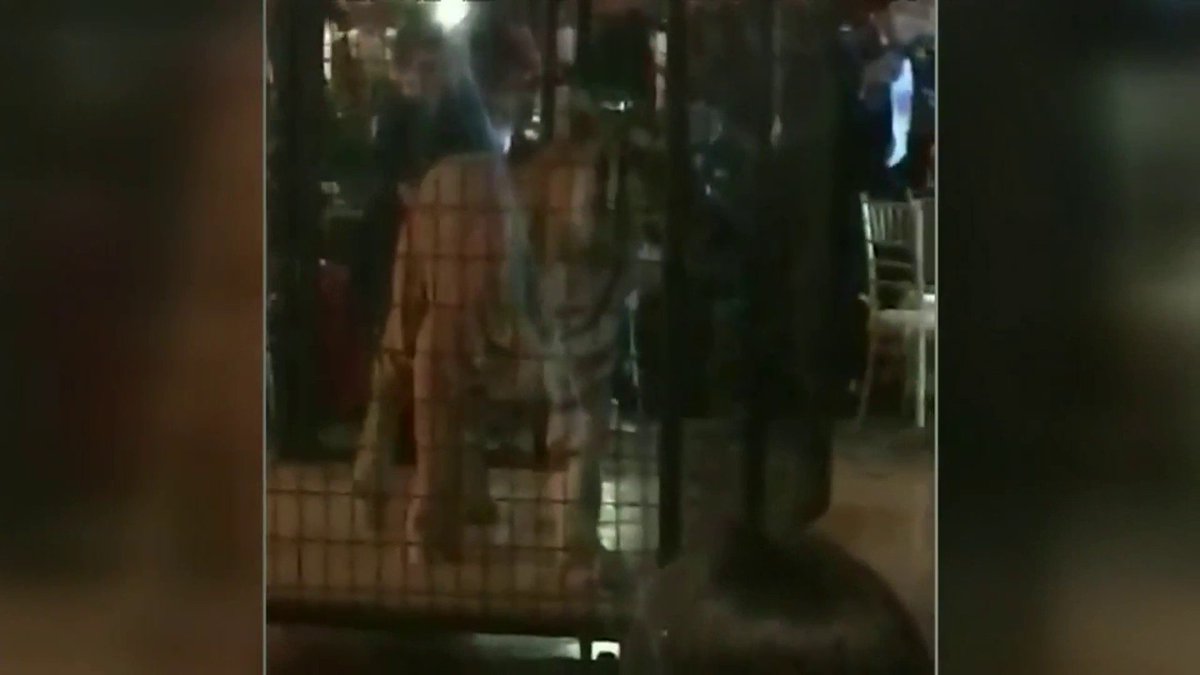 Christopher Columbus High School regrets using caged tiger, live animals at prom bit.ly/2rGR8mZ?utm_so… https://t.co/L4QXLTTc35