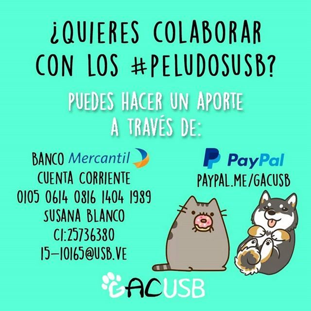 gacusb's tweet photo. ¿Quieres ayudar a nuestros #PerritosUSB pero no sabes cómo? ¡Hay muchas formas!
.
1. Si lo que deseas es darnos un apoyo económico en bolívares puedes hacerlo a través de nuestra cuenta:
.
Banco Mercantil
Cuenta Corriente
01050614081614041989
Susana Blan… https://t.co/z5gqZwYpEC https://t.co/ULXh1K8Dws