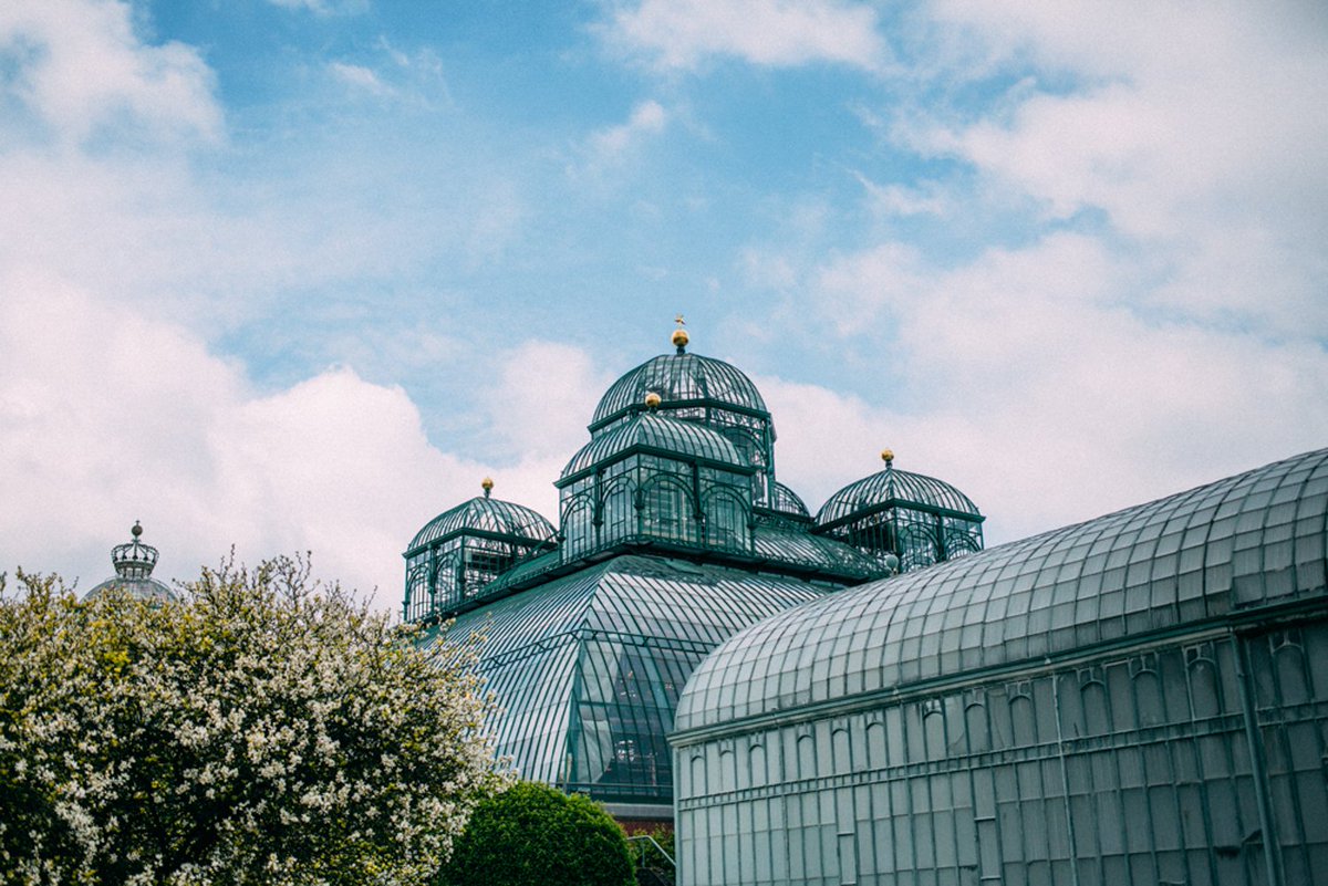 🌷🌴Déjà 1 an que nous avions visité les #serres royales de #Laeken 🌱🌿🌸 <a href="/MonarchieBe/">Belgian Royal Palace</a> behance.net/gallery/649539…