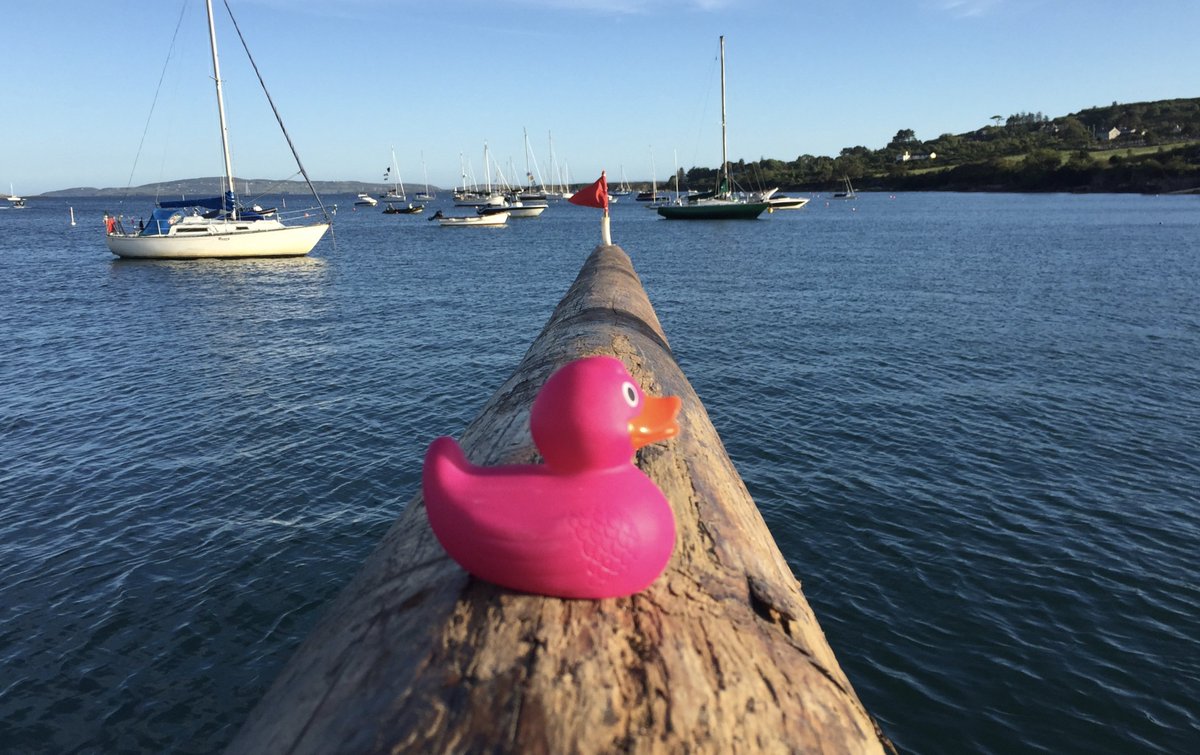 Summer is coming.. and so is Schull Regatta. Lots of fun activities planned so make sure your around for the 11th &amp; 12th of August.  This lovely weather is definitely getting us in the mood.