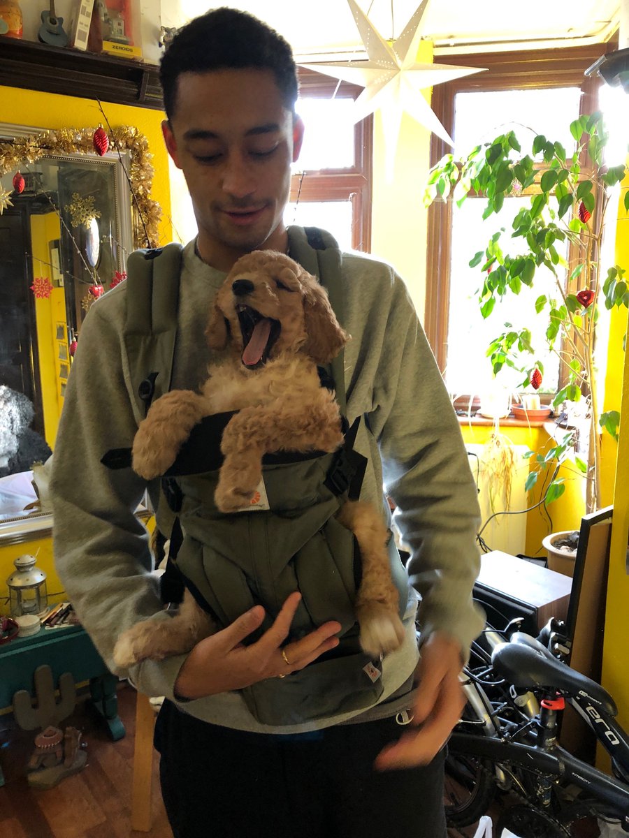 LoyleCarner's tweet photo. https://t.co/SCtO0Zx6tU