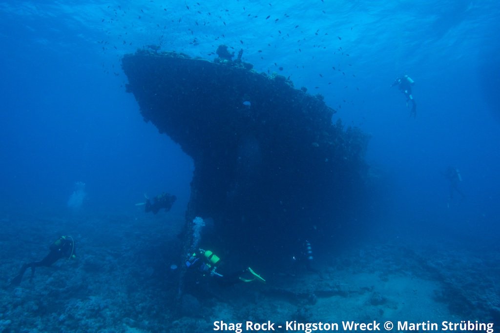 rateyourdive's tweet photo. Thanks for all the beautiful pictures you sent us! πΈ
Everybody who is mentioned in our blog article wins an awesome Dive-Sticker package. π https://t.co/ojLQWBfnRR
π #divehack: Add pics of the fish you see to your logbook with those packages: https://t.co/ZivKJubxyH https://t.co/lR56CHBDm7