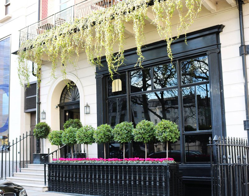 Eve's Watch tweet media