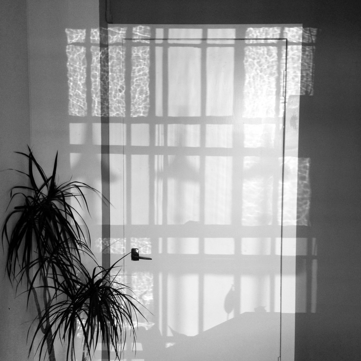 DenhamYoud's tweet photo. Day 6 📸 7 days, 7 black and white photos of our working life. No humans, no explanations. Challenge someone new every day. Challenged by @UnityGrill we challenge @WeeHouseCo https://t.co/Qe1WZHkemv