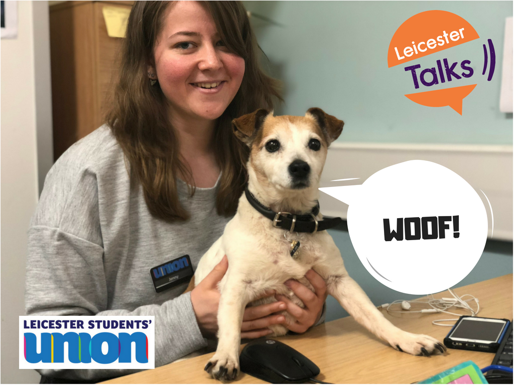 LeicsTalk's tweet photo. During our study breaks, we love cuddles with our best pup, Jen! 

It's important to take regular breaks during exam season, to ensure you don't get overwhelmed! Spend time with friends, watch some TV, or go for a walk in the park! 

🧡 https://t.co/AaqECNwbkt