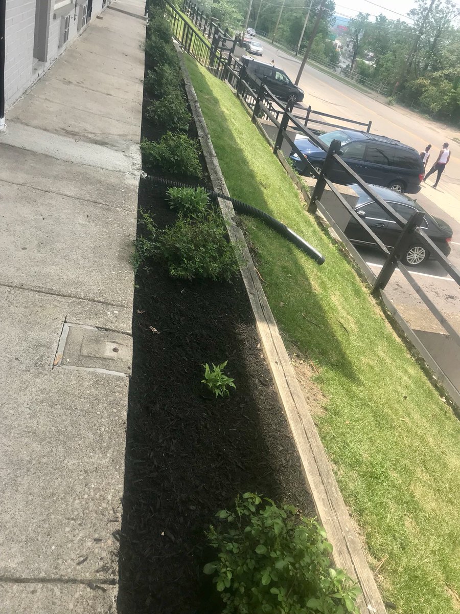 KELLYYouthServ's tweet photo. @crdschurch thank you for once again including KYS in the (13th) annual community service weekend of #golocal18. #KYSMcGregor #KYSMcMicken

A lot of people talk about community service in theory, but Crossroads Church actually does it. We at KYS are extremely grateful! https://t.co/DWNGq5qNPG