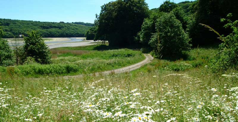 The view our guests enjoy from Efford House #senseandsensibility #film #drama #location #emmathompson  #KateWinslet #hughgrant #ermeestuary #comestaywithus #holidaycottages #Fleteestate