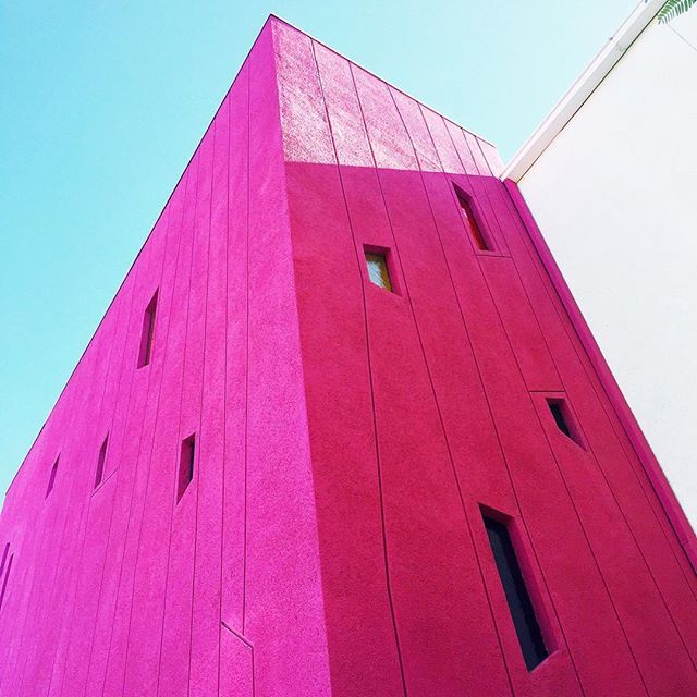 cocainemiami's tweet photo. Anything better than pink?

Via  @simonepwalsh https://t.co/Jtgi60WlVZ