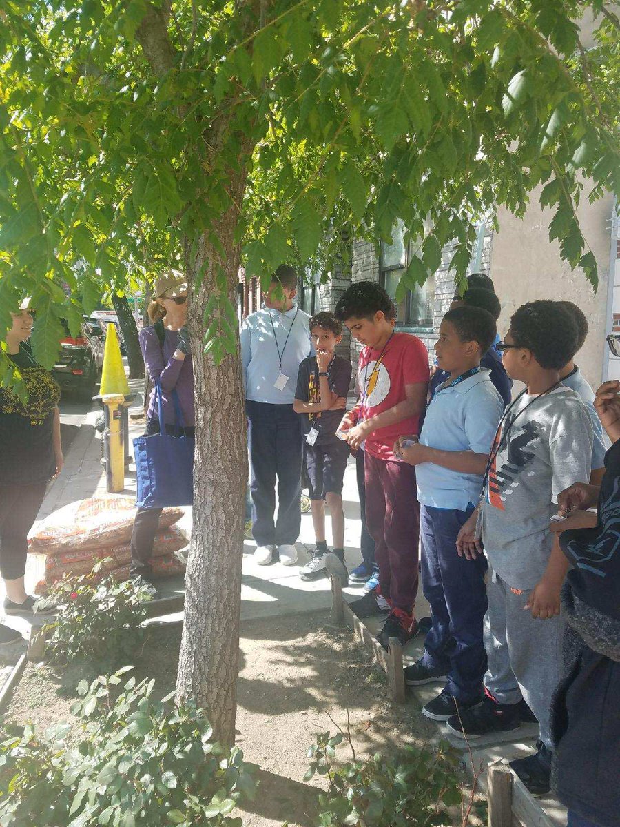 BoysClubNY's tweet photo. Our members are taking care of the neighborhood gardening and picking up trash with @treesny ! 🌿💪🏽
#community #elbarrio #gardening #kids #neighborhood #treesny #iambcny https://t.co/7iGfhmGm9s