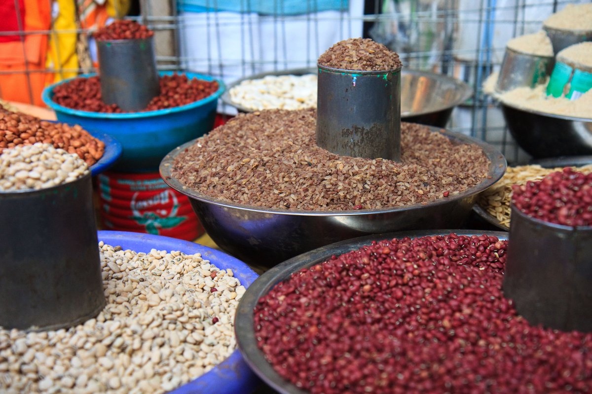 wrenmedia_uk's tweet photo. More than 2 dozen seed multiplication farms have provided over 70,000 farmers in Cameroon with quality &amp; #climateadapted #seeds https://t.co/dYZQQwsP6j #productivity https://t.co/p3h9zVvf6v