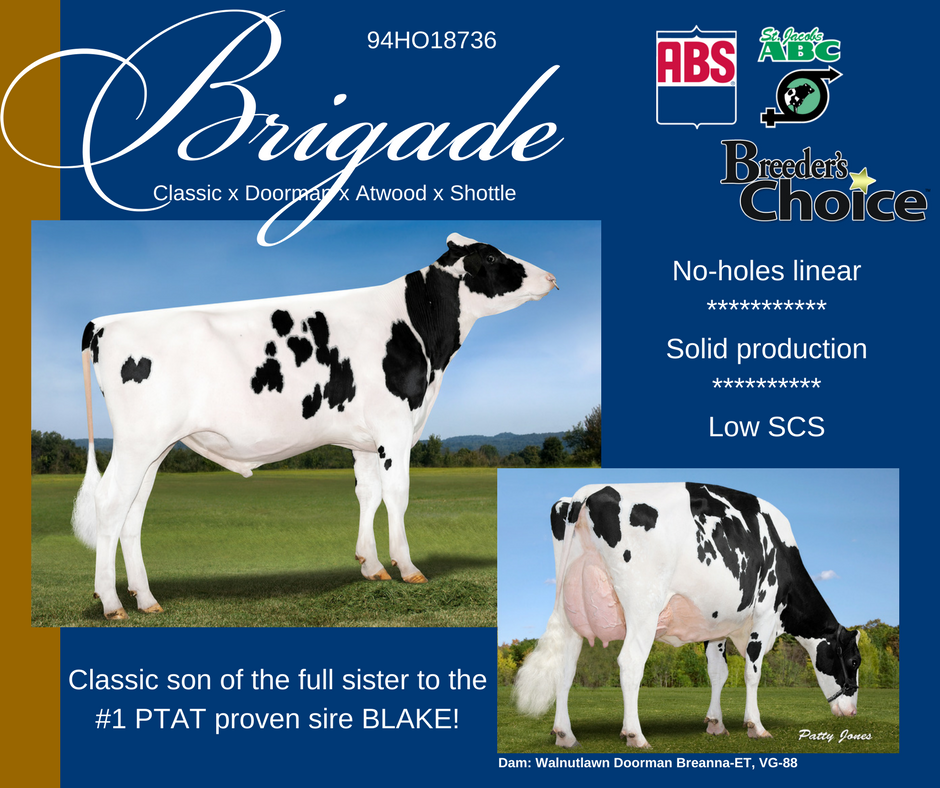 St. Jacobs ABC tweet media