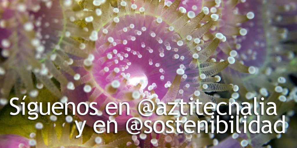 ¡Rápido! Dale a seguir a <a href="/aztitecnalia/">AZTI (perfil viejo)</a> para estar al día porque esta cuenta se va a cerrar.