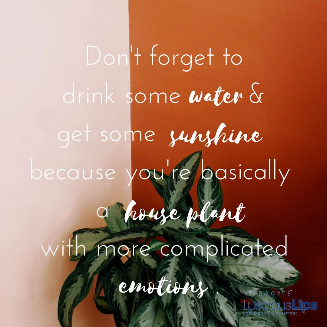 LusciousLipsSA's tweet photo. And some Luscious Lips for plump leaves 😉👄🌱
#selfcare #LoveYourLips #LusciousLipsSA https://t.co/YrXe9b728j