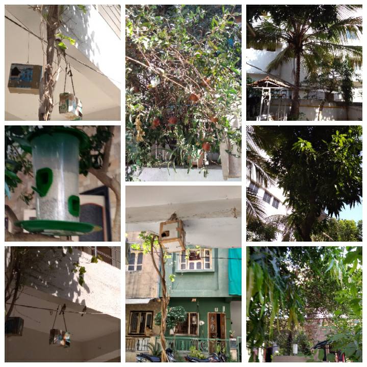 ncseerc's tweet photo. #Greenlandscaping #Bird #homegarden #fruits #flowers #birdfeeders #shadytrees There is more demand of oxygen on Earth. let's plant more trees to increase the supply of oxygen. Make our #MotherEarth greener.Specially on #mothersday2018 @globalcitysurat @SuratSmartCity @OurSMC https://t.co/3OpsAUM4Bj