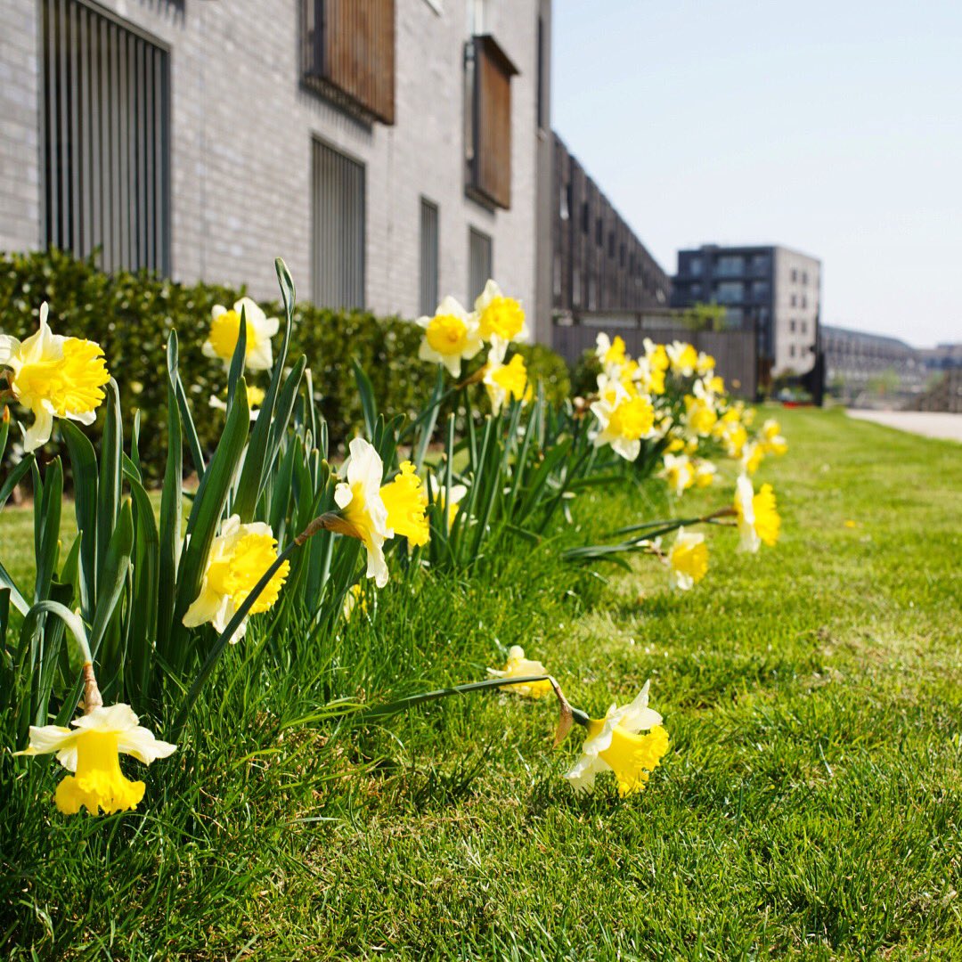 Barking Reach tweet media