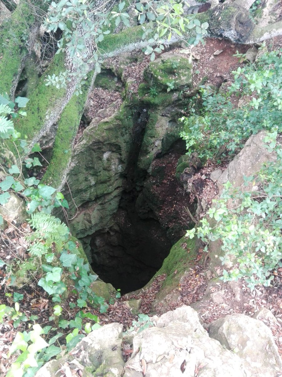 geopaseos's tweet photo. Avenc de l'Esquerrà al Parc Natural del Garraf des del camí d'Olesa de Bonesvalls
#geopaseos #avenc #esquerrà #garraf #karst #espeleologia https://t.co/TFxcaC9gK2