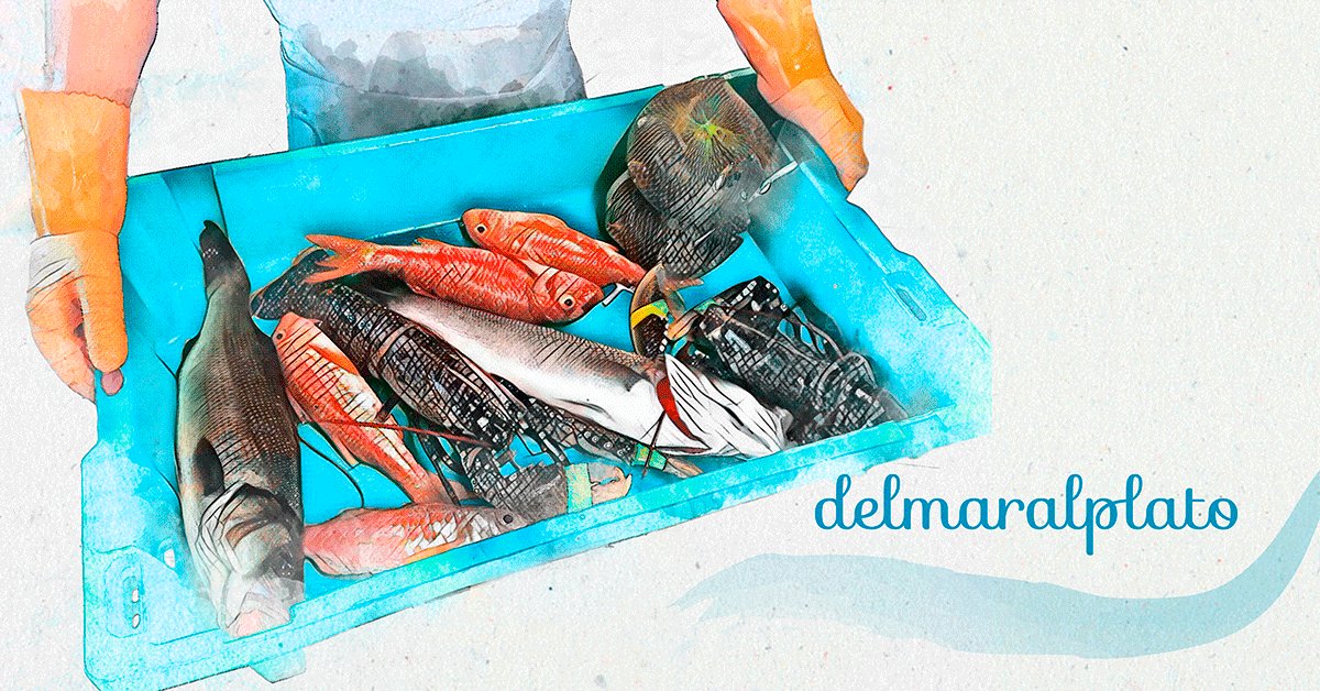 Se definen como unos emprendedores enamorados de #Vigo y sus consejos sobre #pescados y #mariscos arrasan en la red.¿Quieres conocer un poco más a nuestros socios @delmaralplato ? 👉👉 goo.gl/z7ocZq
#SociosAJEVigo #YoSoyAJEVigo