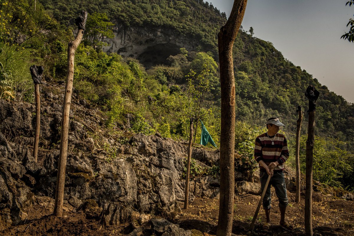 yicaichina's tweet photo. #China’s Last #Cave Dwellers in #Gebang #Guizhou Fight to Keep Their Underground Homes https://t.co/lzgT1vFiyn https://t.co/eH5h87H6Px