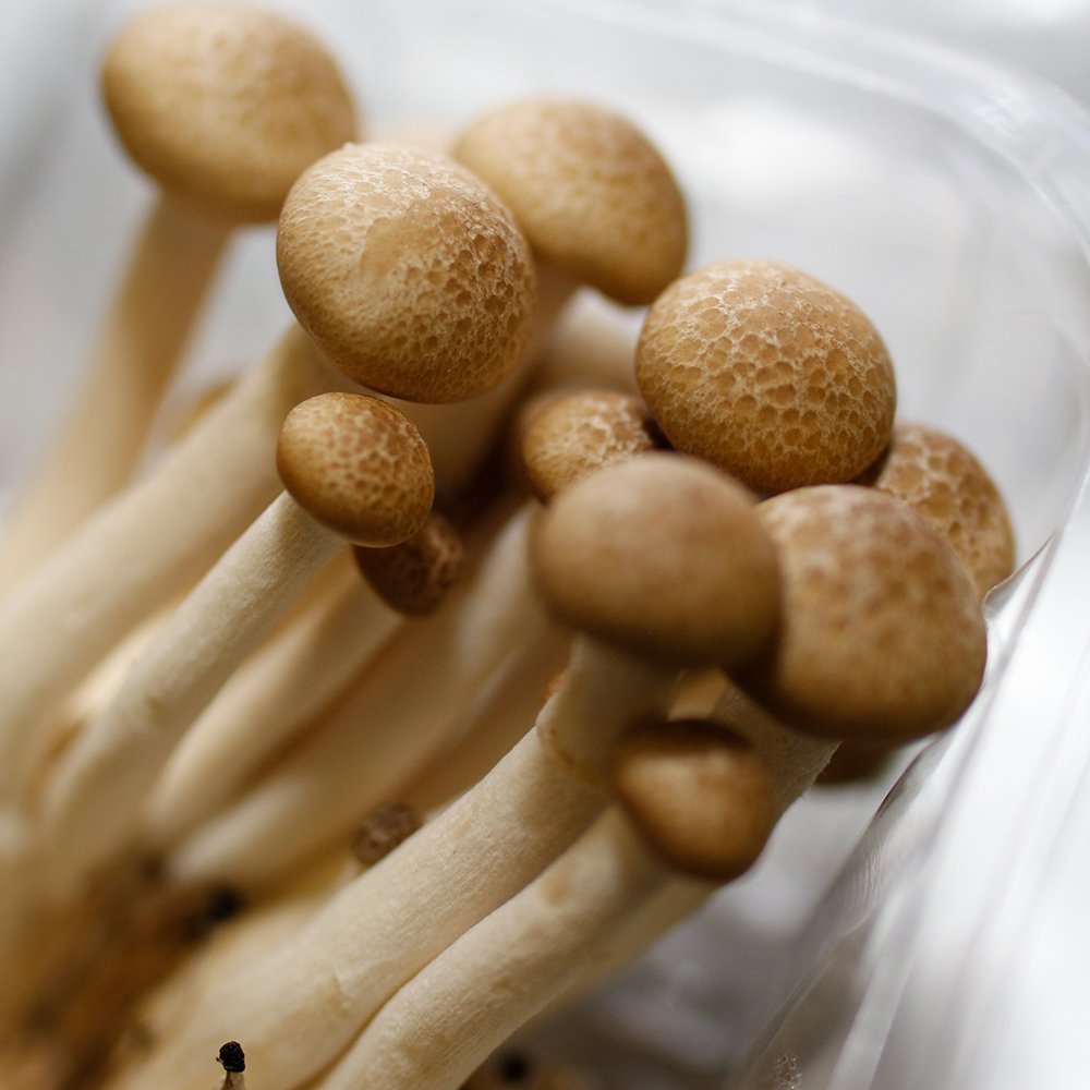 101 Meade Street tweet media