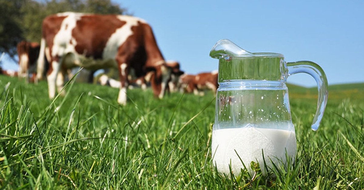 4Prevent's tweet image. Ipersensibilità al #latte vaccino ? I prodotti HD
Un crescente numero di prodotti alimentari alternativi sono disponibili   per soddisfare le esigenze delle persone che accusano problemi a  digerire il latte vaccino.
prevent4you.it/it/blog/iperse…