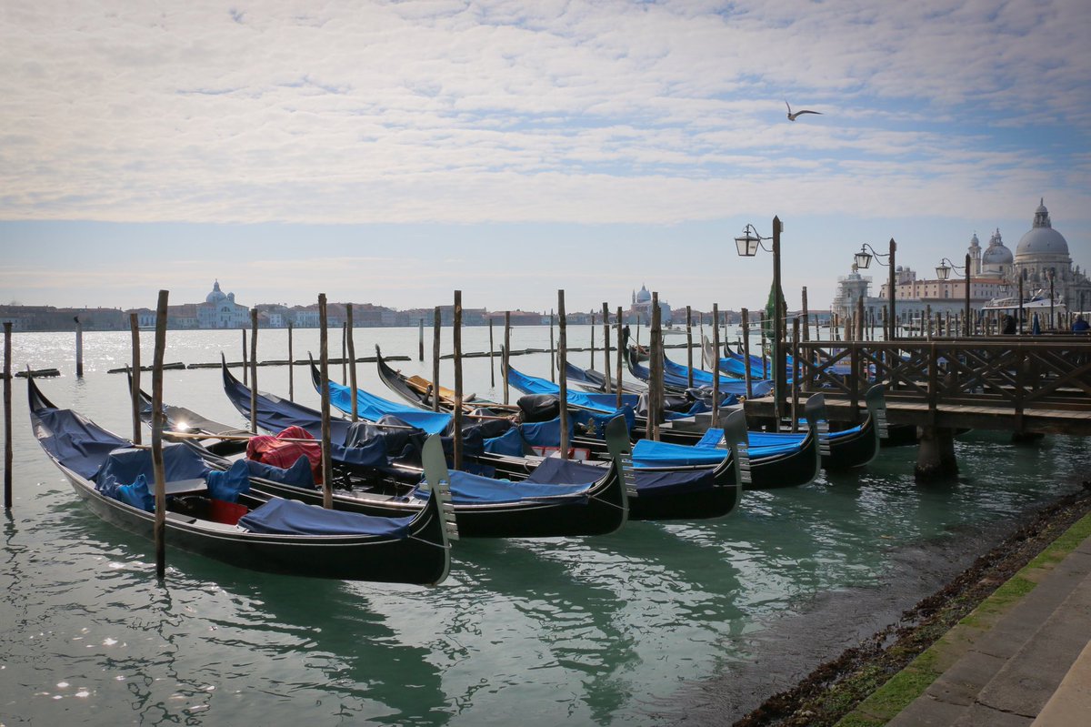effectokuleshov's tweet photo. 🔴 Ahí va la segunda tanda de 📸 #fotografías de #Venecia 🛶 Sé que he tardado la vida, pero espero que os gusten‼️😊 #travel #picoftheday @CanonEspana https://t.co/9fhGAZGLEg