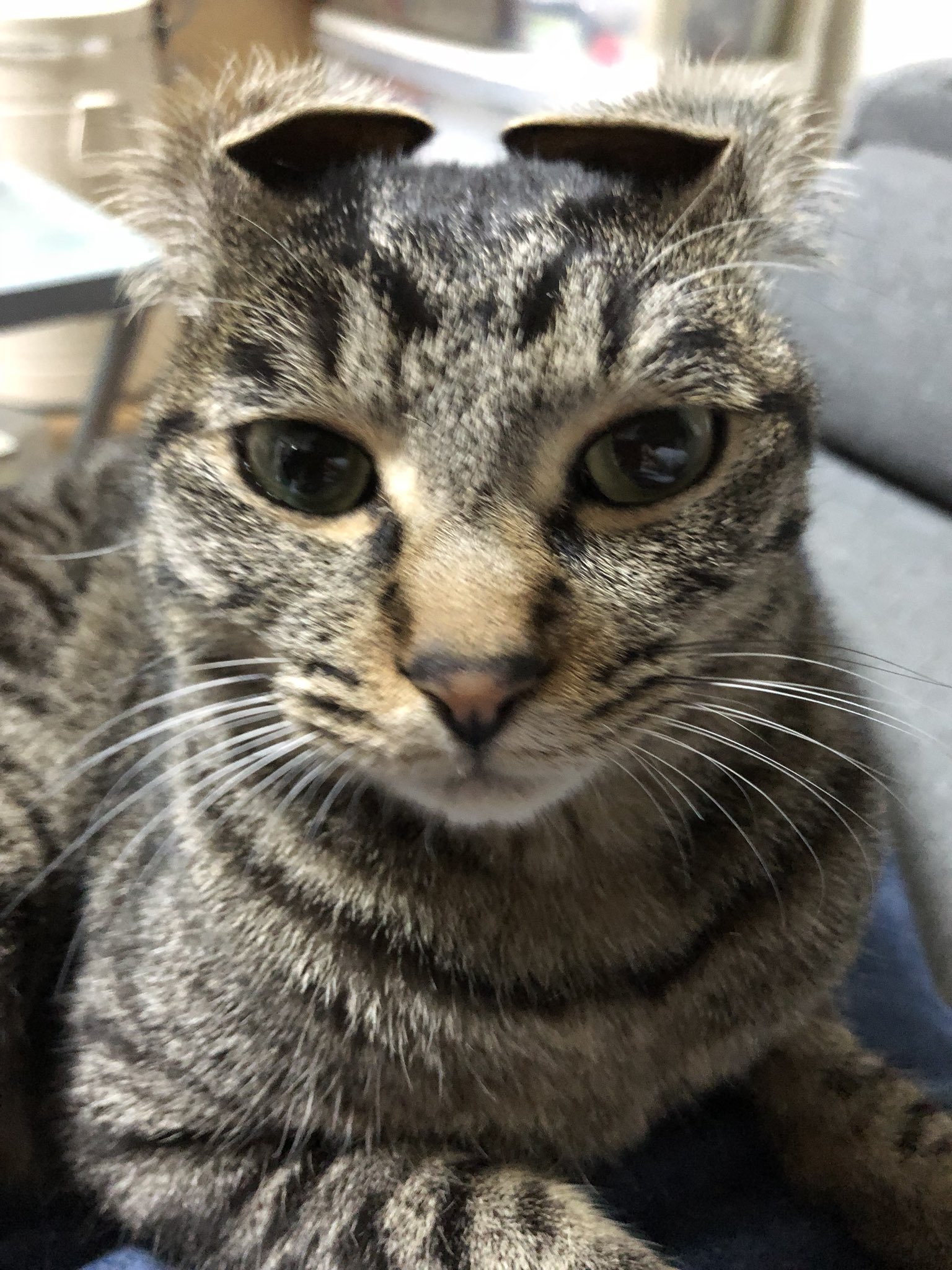 See Tora Mike 04 10 S Tweet Twitter