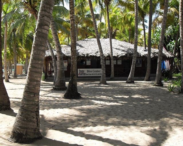 Reposting @janicehortonwriter:
Dive shop on the beach - Puerta Plata - Dominican Republic #domrep #beach #caribbean #islandviews #travelhighlights #travelmemories #emptynesttraveller #liveyouradventure #beautifuldestinations #tropicalbeach #palmtrees #diveshop