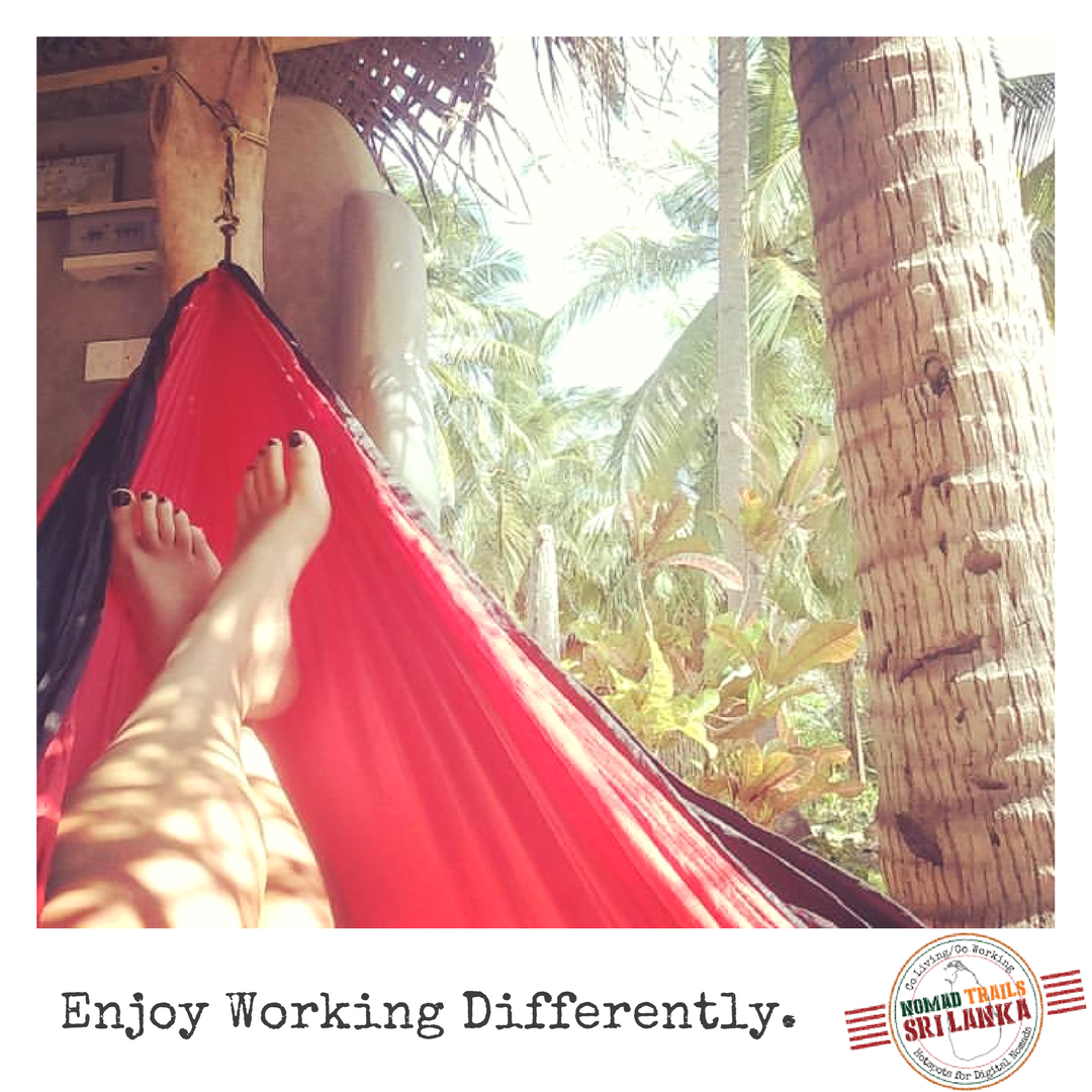 NomadSri's tweet photo. @Niq1982 @entwistletx Now that's our kind of meeting! Can we join? 😜 https://t.co/zYYGhzD4fG