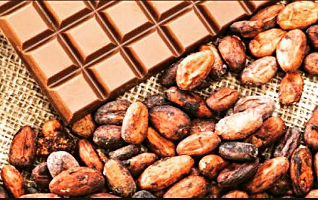 FarmRepublic's tweet photo. Some highly profitable #farmproduce for the #export market. ROI - 15% to 35%
•Cocoa
•Ginger
•Garlic
•Cashew nuts
•Kola nut
•Bitter Kola
•Plantain
•Sesame seeds
•Shea butter
•Palm Kernel
#farmers #agroprocessors #retailers #foodmerchants #exporttrade #agribusinesscompany https://t.co/TvpwNTBGRc