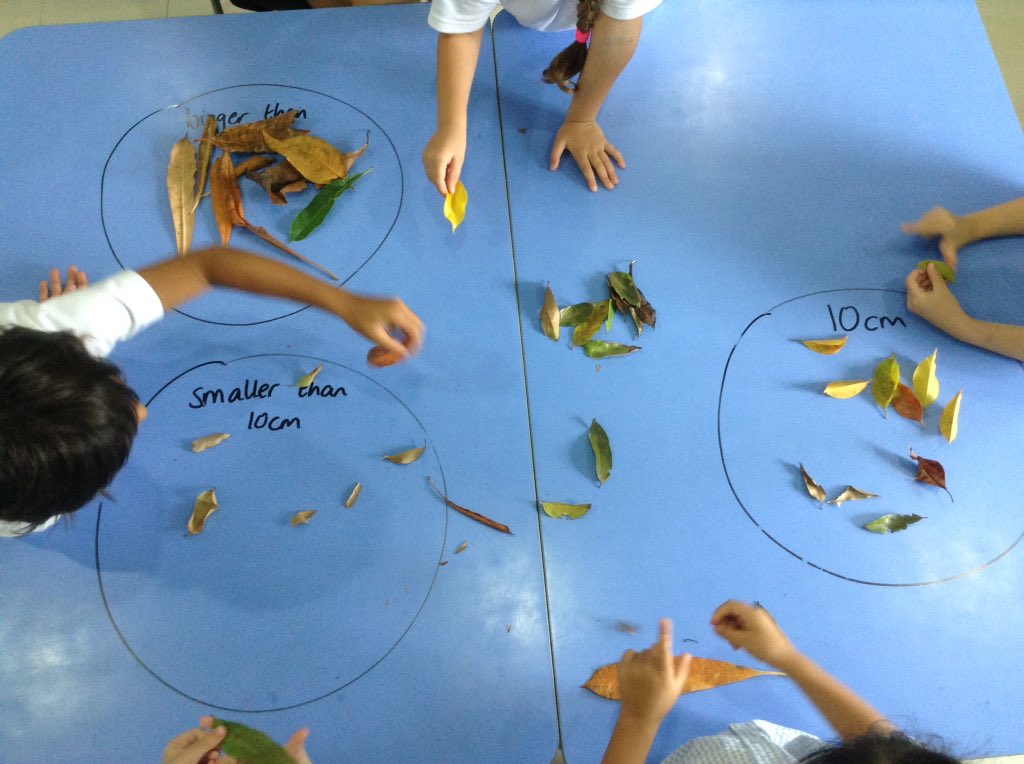LJSpencer13's tweet photo. Millie the millipede needs a new leaf. She is 10cm long, which leaves would be perfect for her? 🐛@ISSamuiPrimary #maths #measuring #estimating #discussion https://t.co/P2etD1nSv2