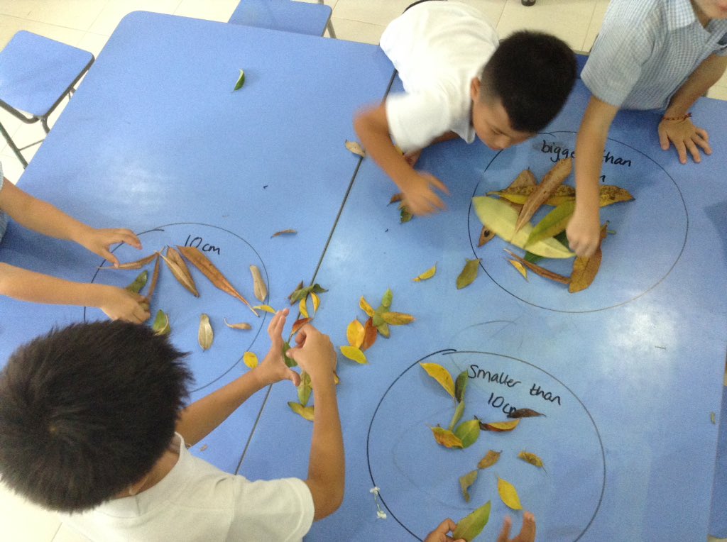 LJSpencer13's tweet photo. Millie the millipede needs a new leaf. She is 10cm long, which leaves would be perfect for her? 🐛@ISSamuiPrimary #maths #measuring #estimating #discussion https://t.co/P2etD1nSv2
