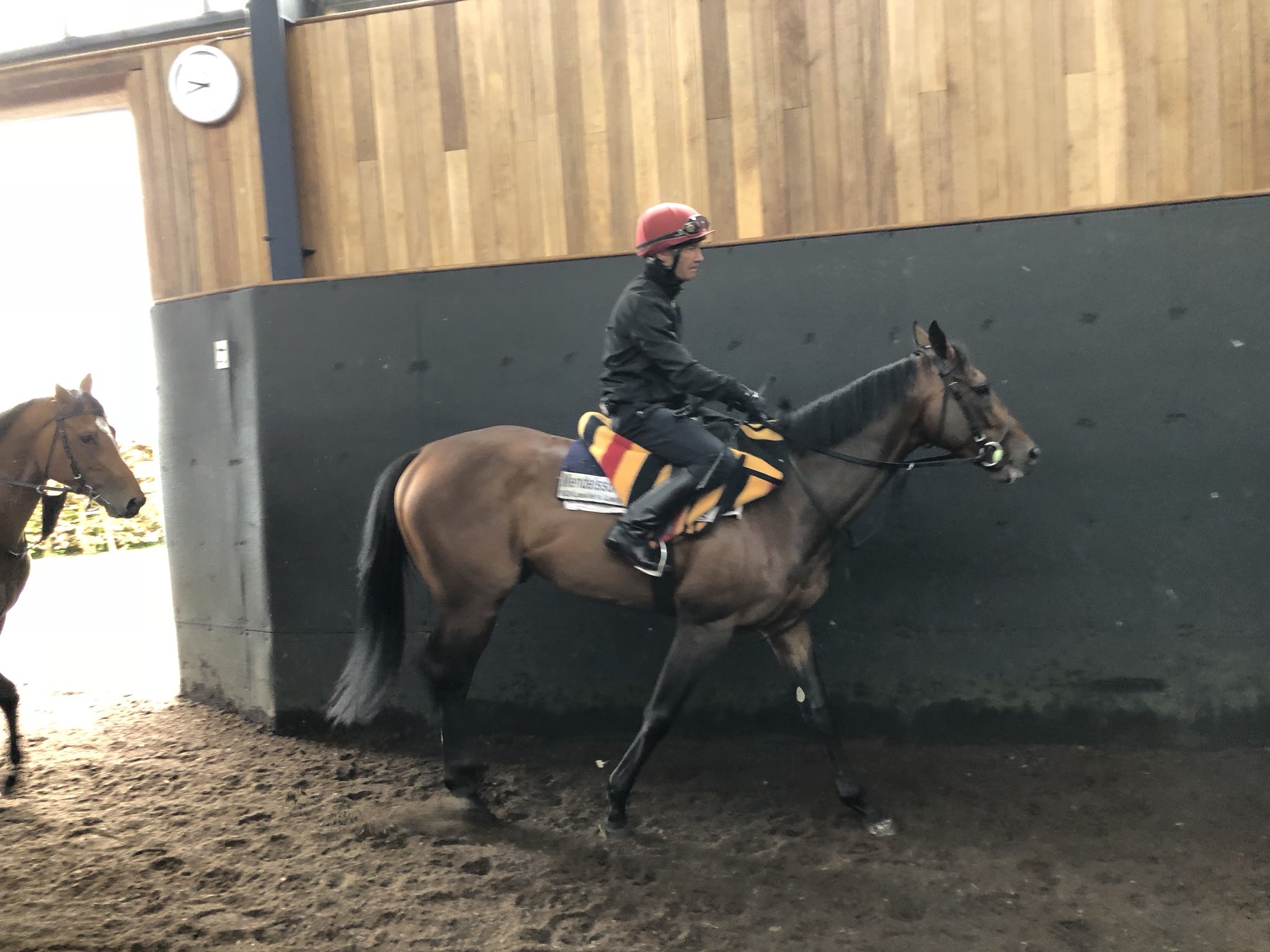 Mendelssohn: Con la mira puesta en la Breeder's Cup Classic