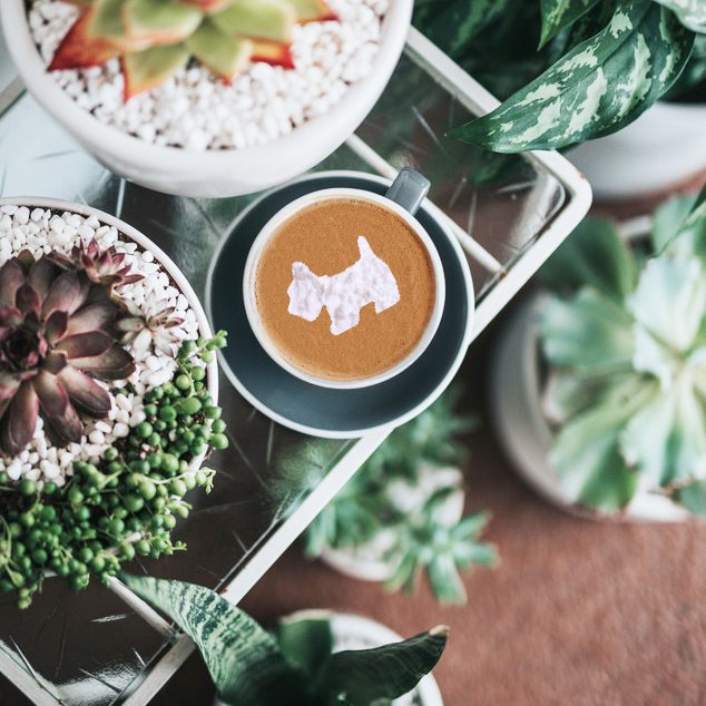 Avec un si beau joli café latte, la journée ne peut que bien commencer! ☕🤗 #MondayMotivation