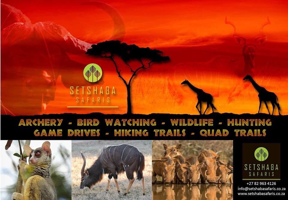 SetshabaSafaris's tweet photo. For more info visit https://t.co/WJiEy2kK2q https://t.co/Y8uRSq9PaJ