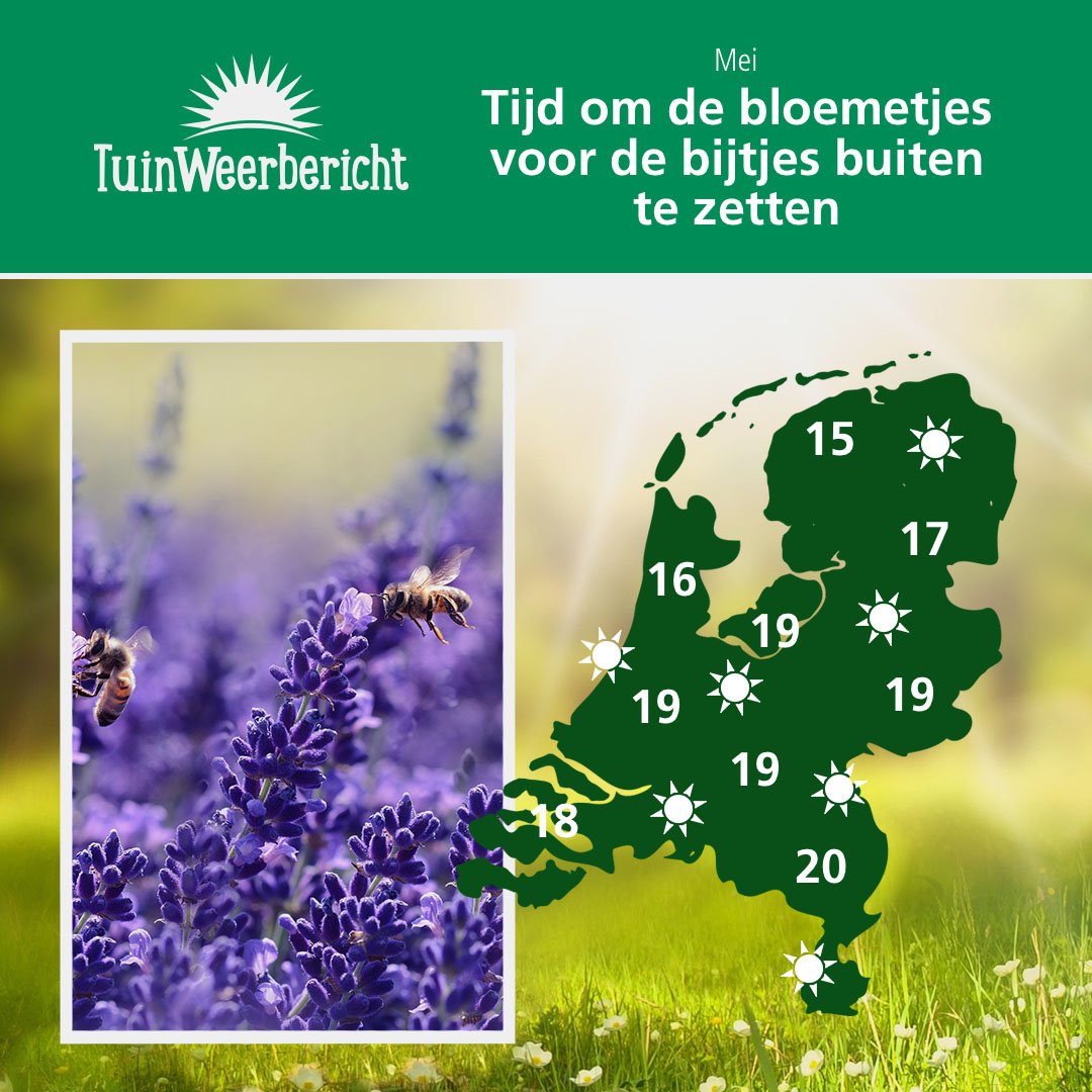 Wist je dat bijen heel handig zijn voor je moestuin? Ze helpen je graag als jij je tuin een beetje vriendelijk voor ze inricht. bit.ly/2ID3iaQ