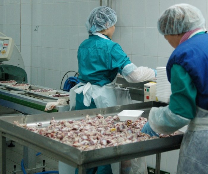 Ветсанэкспертиза мяса птицы. Ветеринарно-санитарная экспертиза субпродуктов. Ветсанэкспертиза полуфабрикатов