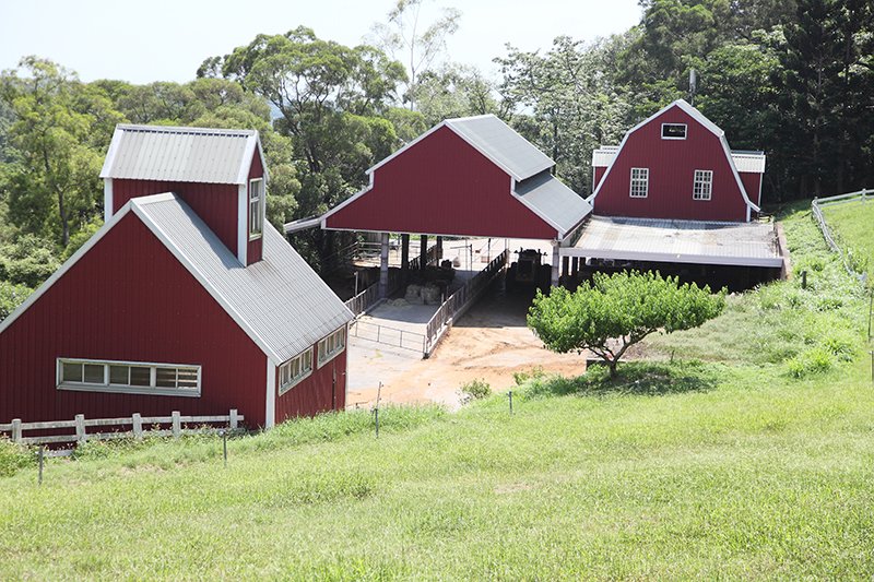 Apartment503's tweet photo. 孩童夢想的飛牛 Flying Cow Ranch - https://t.co/7epqEyQBkf https://t.co/pnzZN5I6N1