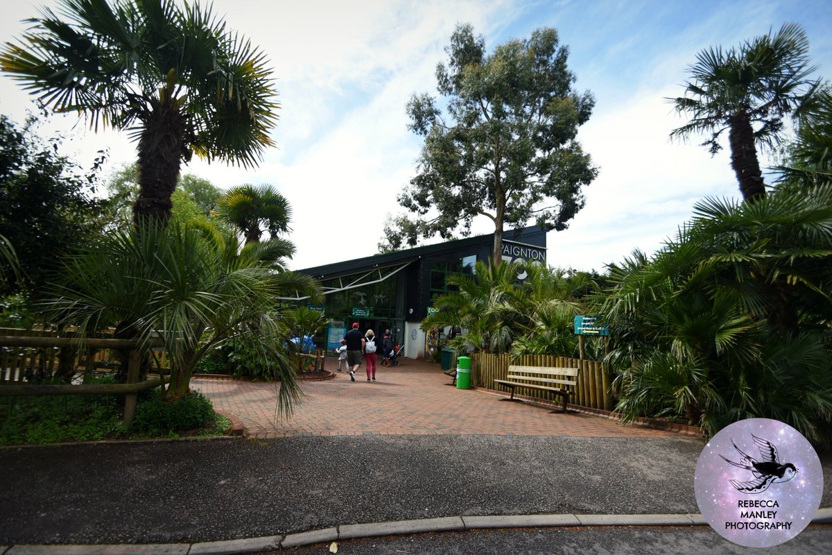 Rebecca_RMP's tweet photo. I need to do more wide angles at @PaigntonZoo ! #PaigntonZoo #zoo #photographer #ukphotographer #southwesttogup #atsocialmedia #Nikon #nikond5500 #paignton https://t.co/xOGa7UFmYP