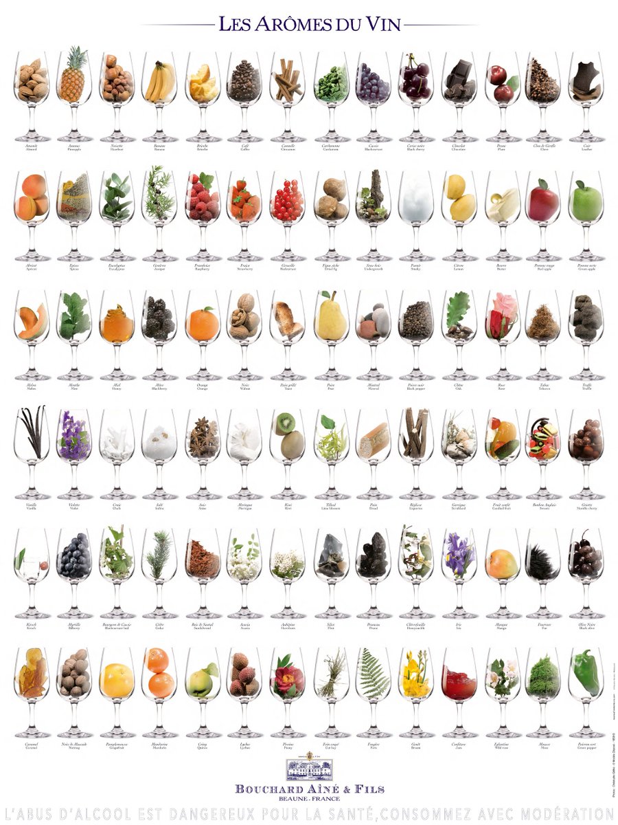 100 Arômes du Vin
Fruits, Fleurs, Herbes, Epices et Animaux…
🥂🍋🍇🍎🍊🍒🍍🥥🍷
Tout un Monde de Saveurs !

Infographie par @bouchard_aine
Article en Anglais
👇👇👇
socialvignerons.com/2018/05/08/top…

#vin #winemorning